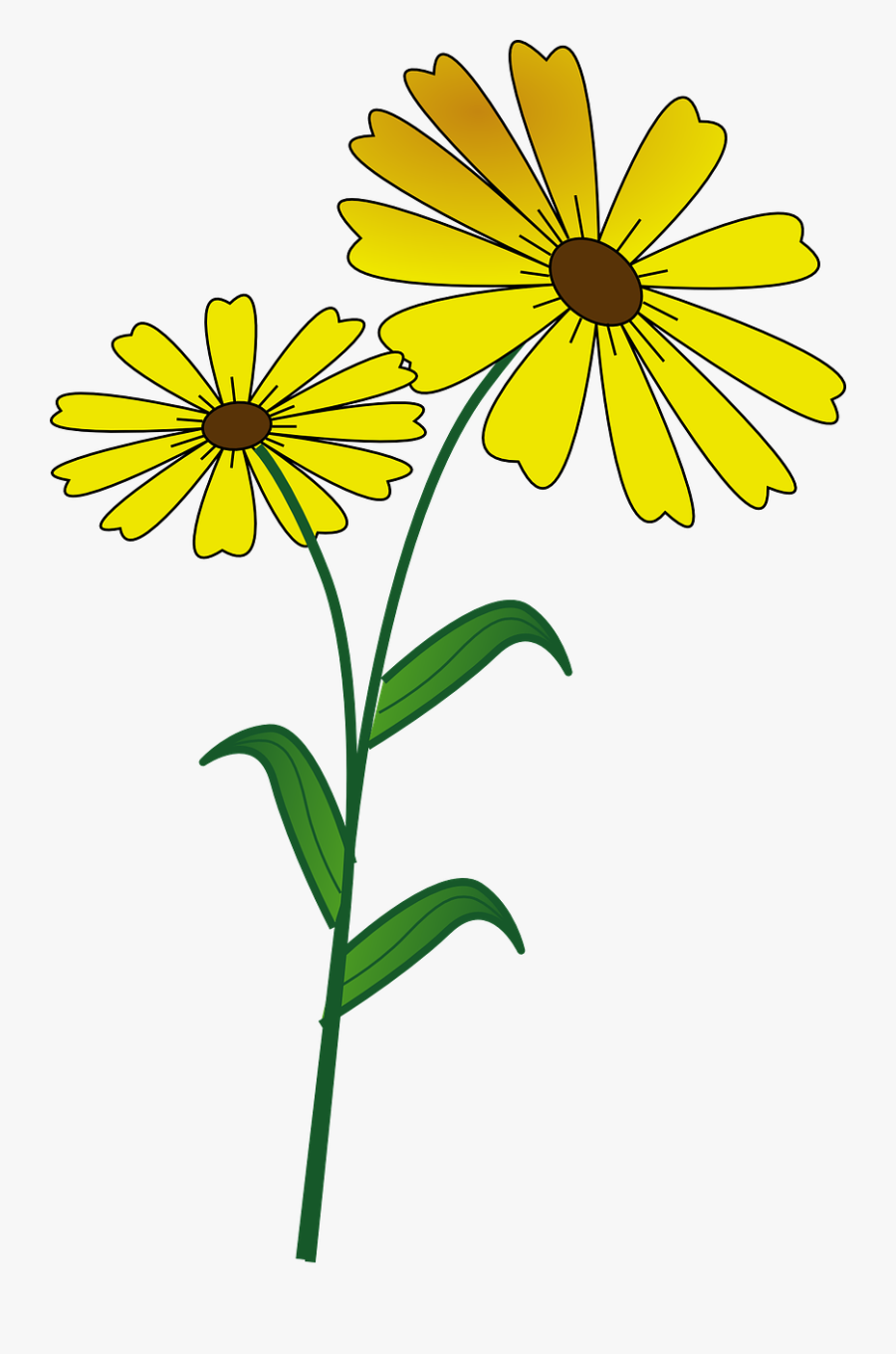 Flower Daisy Vegan Free Picture - Desenhos De Flores Amarelas, Transparent Clipart