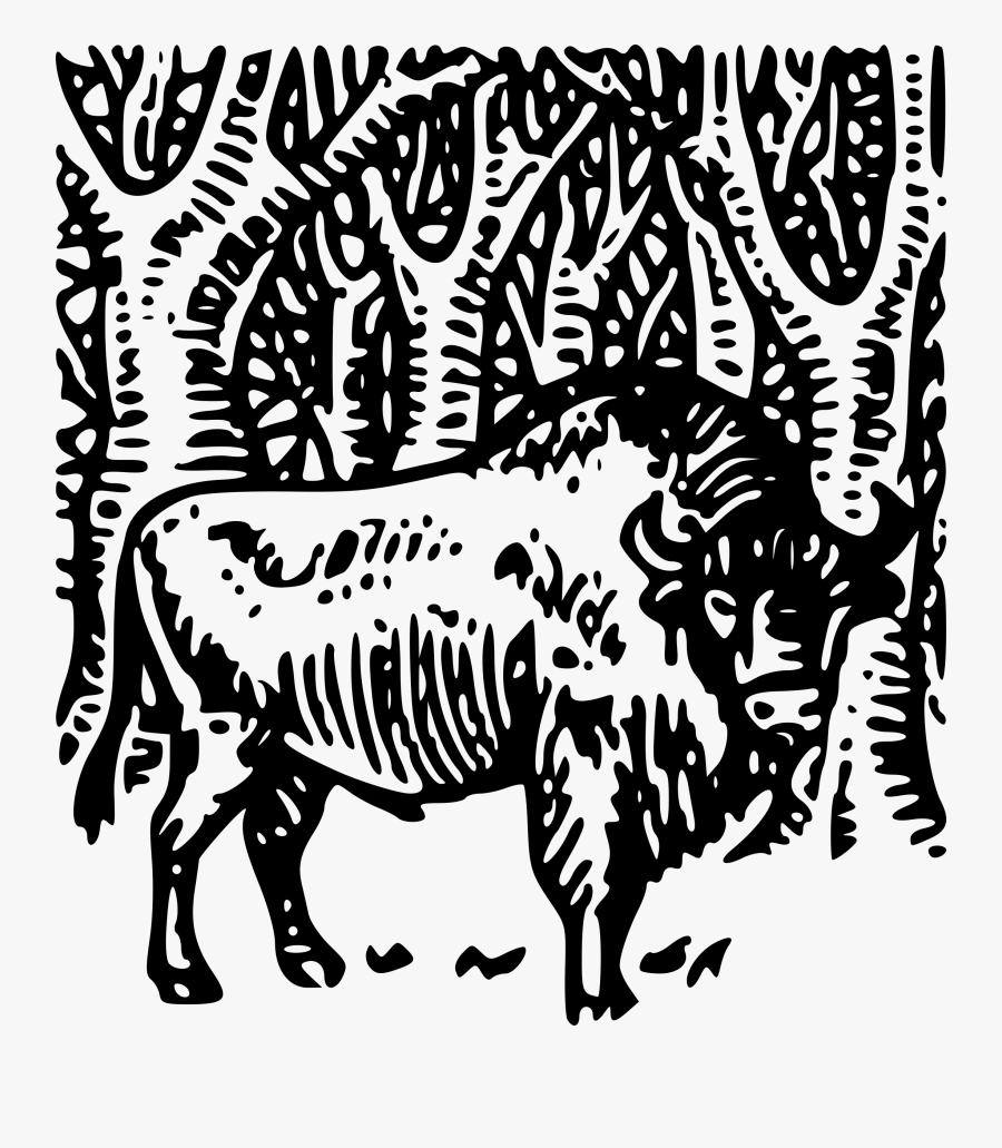 Belarus Bison Clip Arts - Illustration, Transparent Clipart