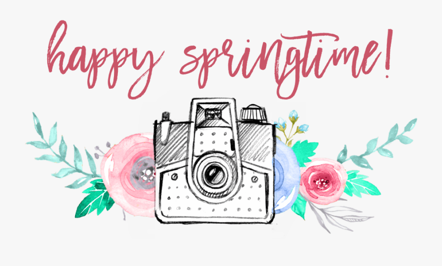 Garden Roses, Transparent Clipart