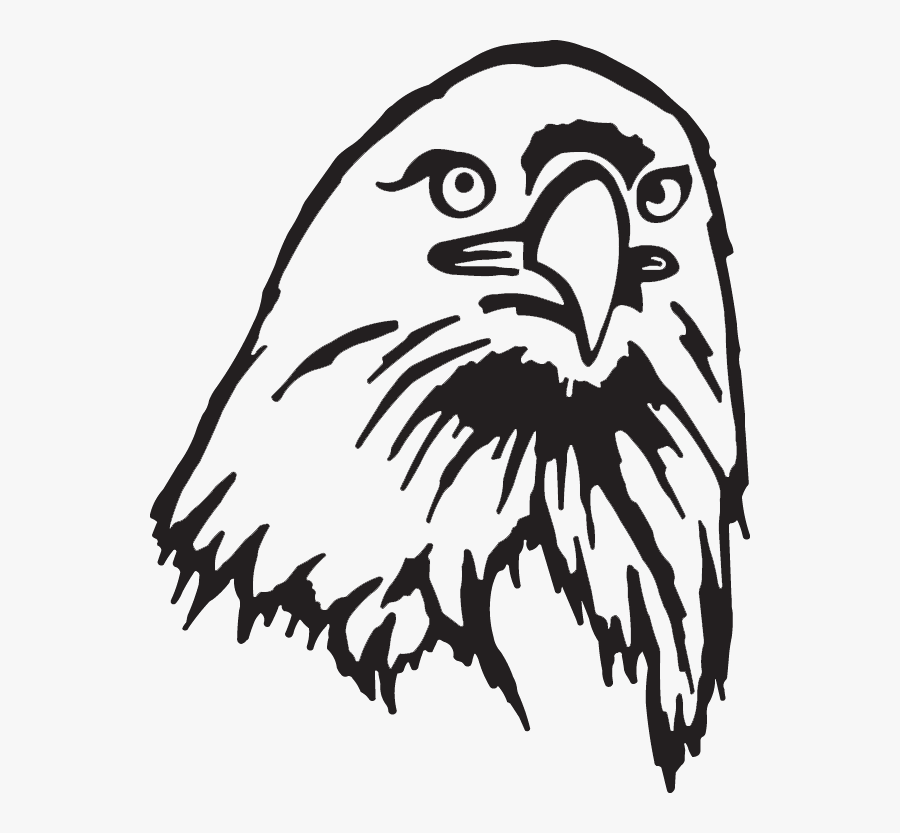 Hawk, Transparent Clipart