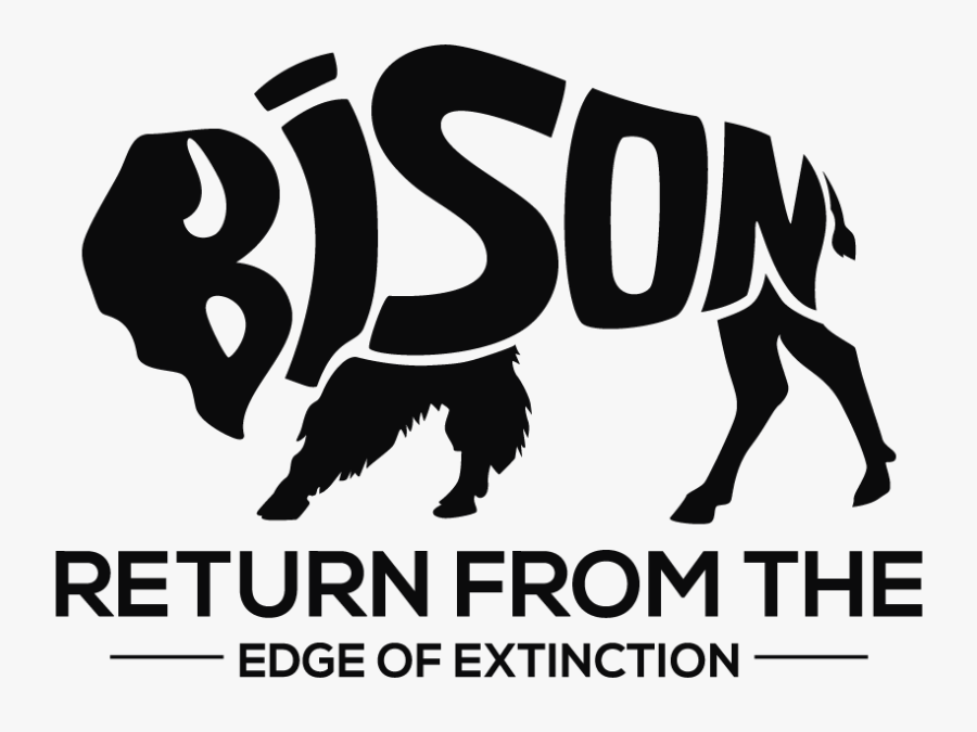 Bison Return From The Edge Of Extinction Ver2 - Alexandalexa, Transparent Clipart