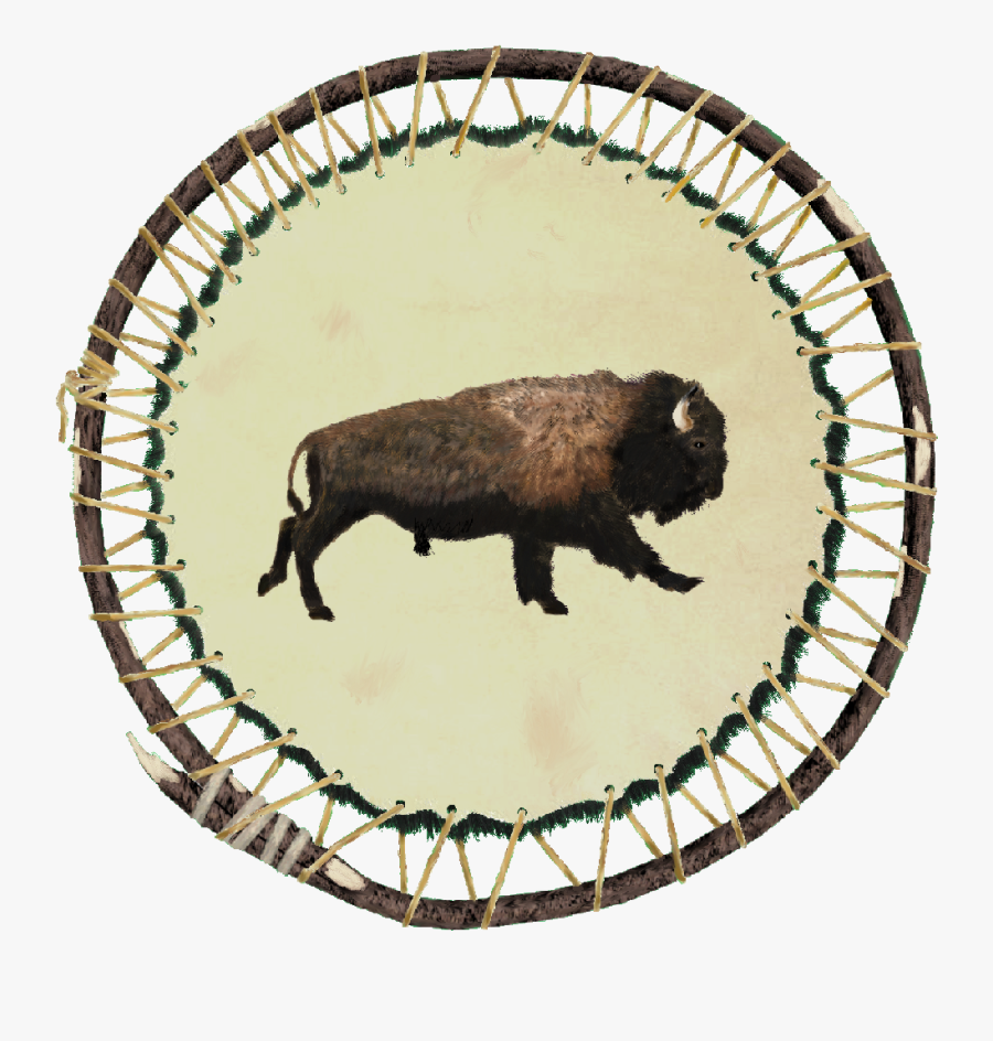 Bison, Transparent Clipart