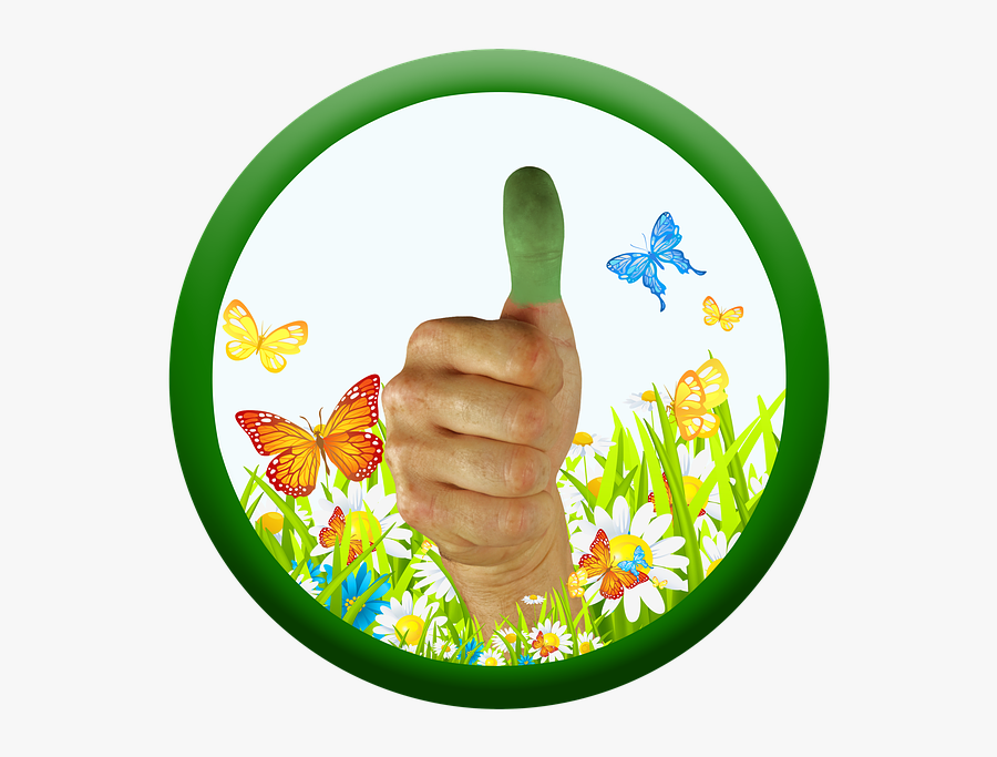 Green Thumb, Transparent Clipart