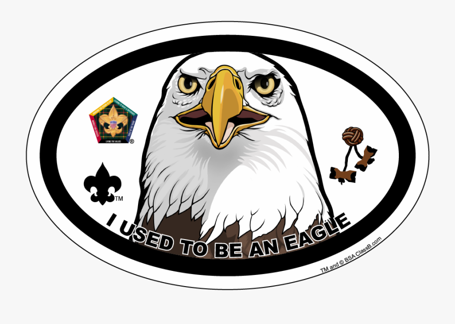 Wood Badge Fox, Transparent Clipart