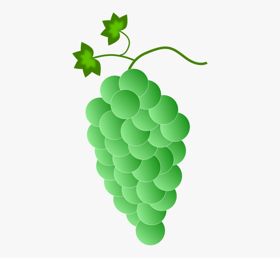 Plant,grape,grapevine Family - Purple Grapes, Transparent Clipart