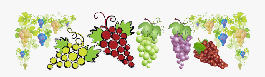 Seedless Fruit, Transparent Clipart