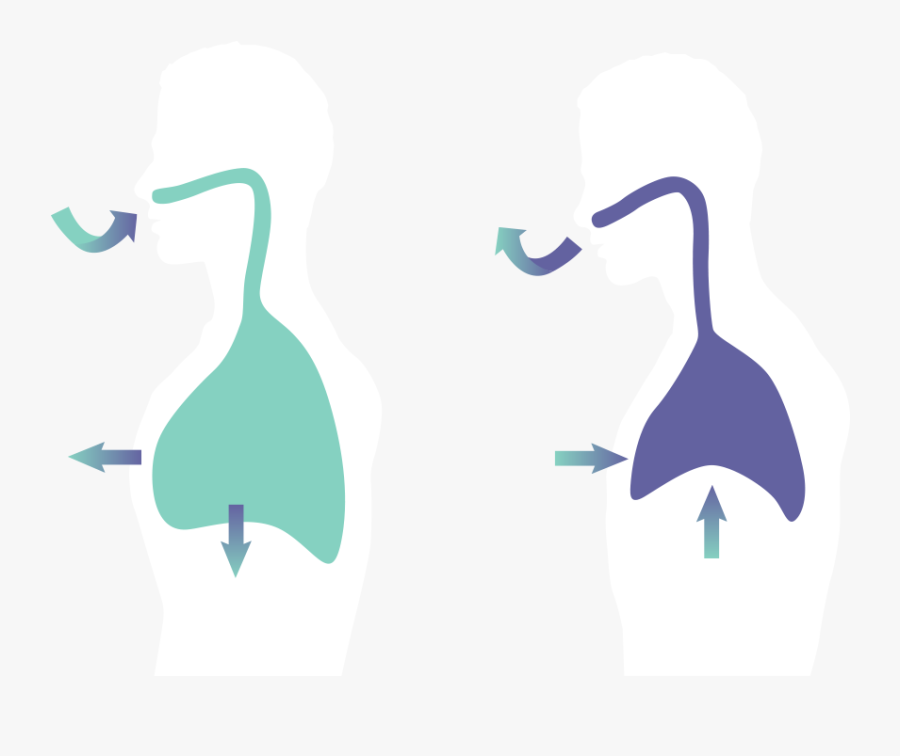 Aria Sensing Breath Monitoring - Illustration, Transparent Clipart