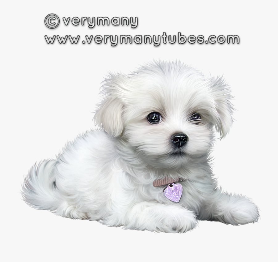 Cute Puppies, Clip Art, Animaux, Cutest Dogs, Illustrations - Perrito Blanco Png, Transparent Clipart