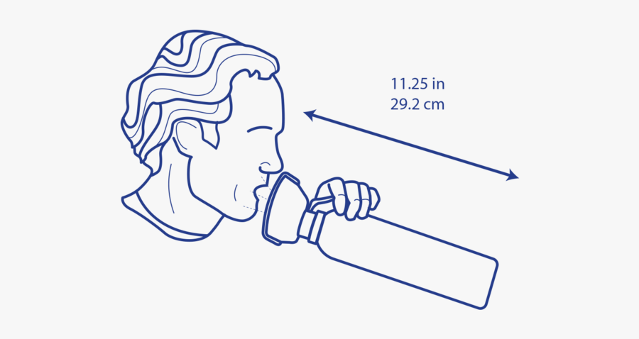 Diagram, Transparent Clipart