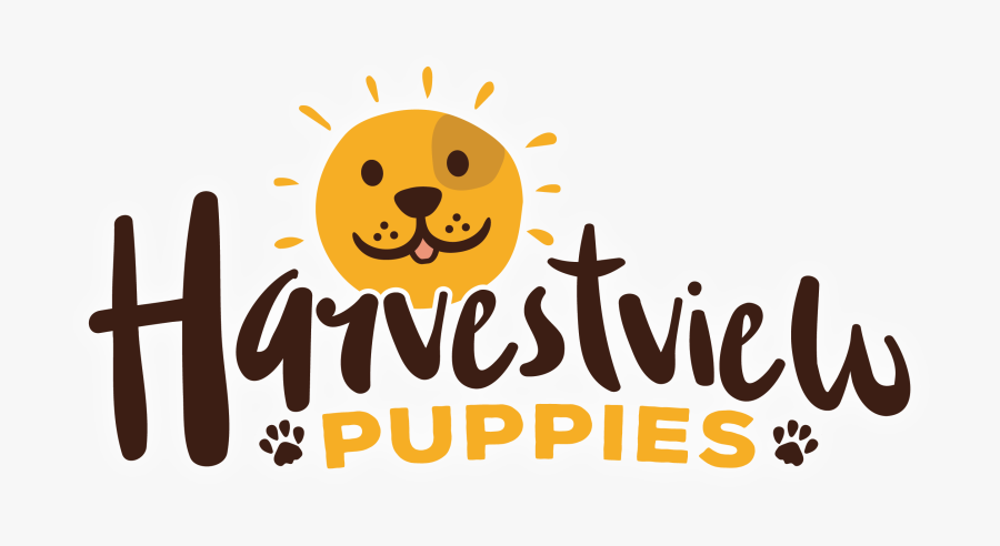 Harvestview Puppies - Cartoon, Transparent Clipart