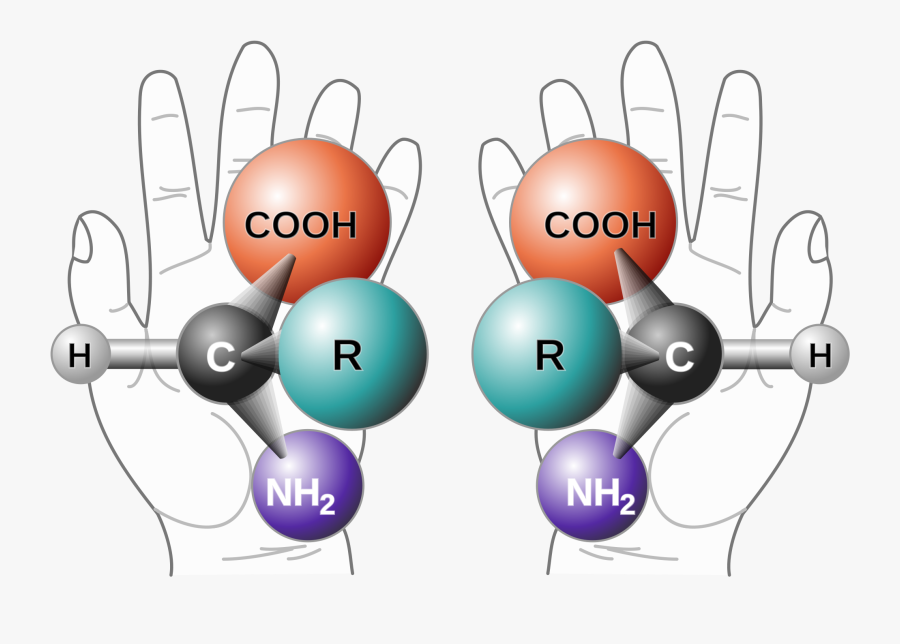 Isomeria Optica, Transparent Clipart