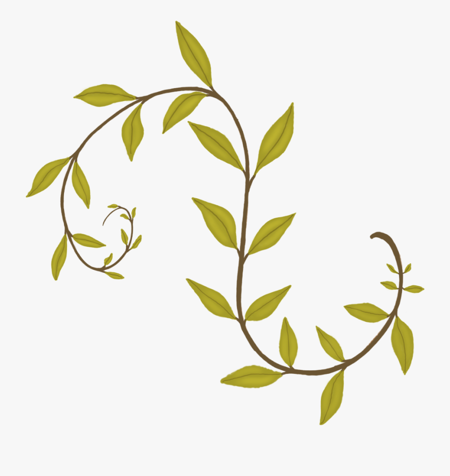 #leaves #vine #floral #freetoedit, Transparent Clipart