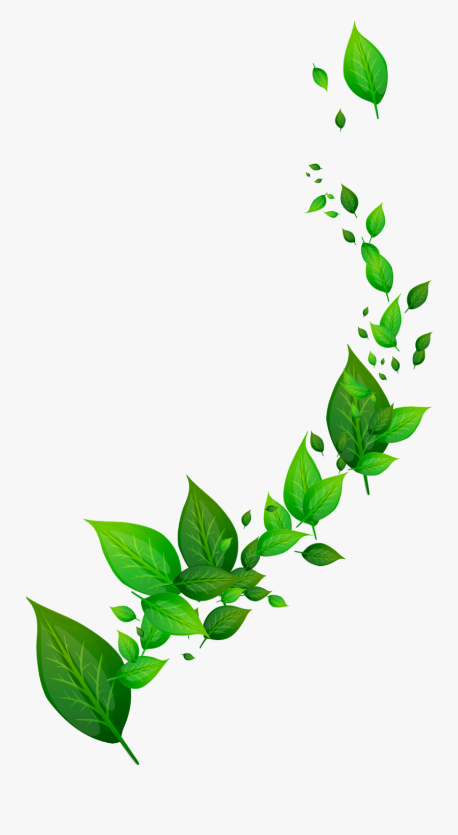 #mq #leaves #green #vines #garden #nature #decoration, Transparent Clipart