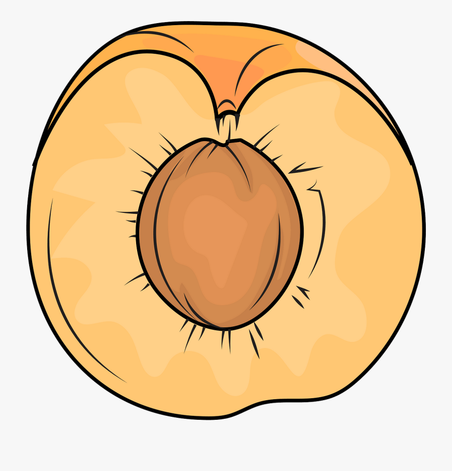 Circle, Transparent Clipart