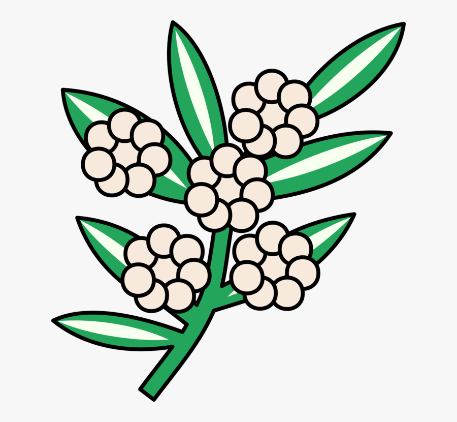 Line Art,plant,flora, Transparent Clipart