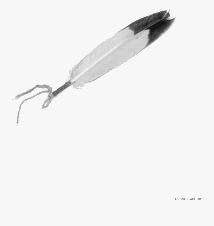Eagle Clipart Feather - Mi Kmaq Eagle Feather, Transparent Clipart
