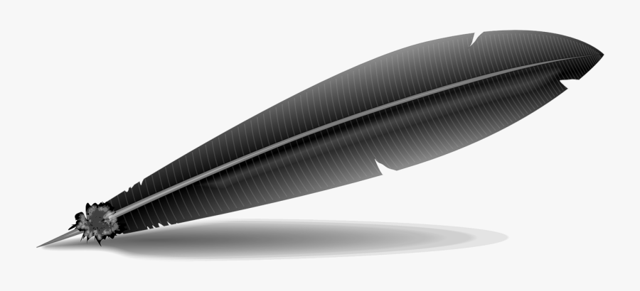 Black Feather - Feather Clip Art, Transparent Clipart