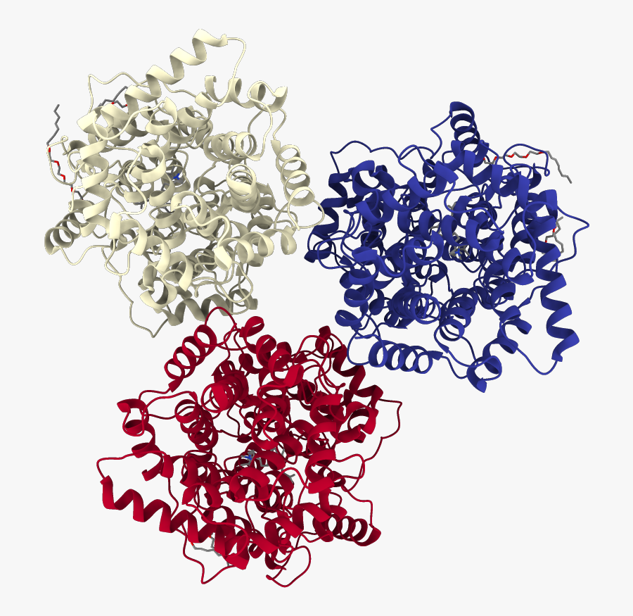 Chains Colored In Rainbow - Illustration, Transparent Clipart