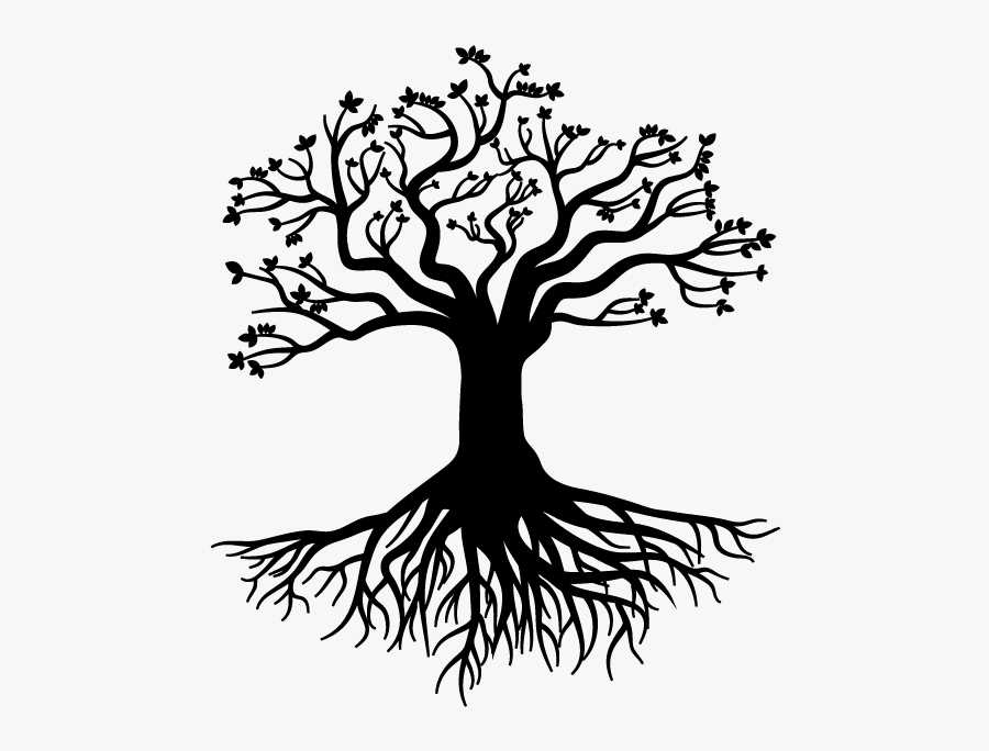 Root Tree Stock Photography Gratis - Tree With Roots Drawing Png, Transparent Clipart
