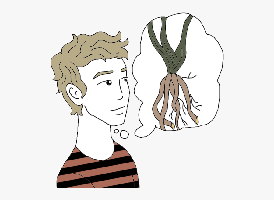 Roots - Illustration, Transparent Clipart