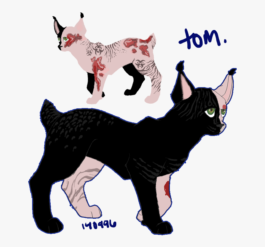 Picture - Black Cat, Transparent Clipart