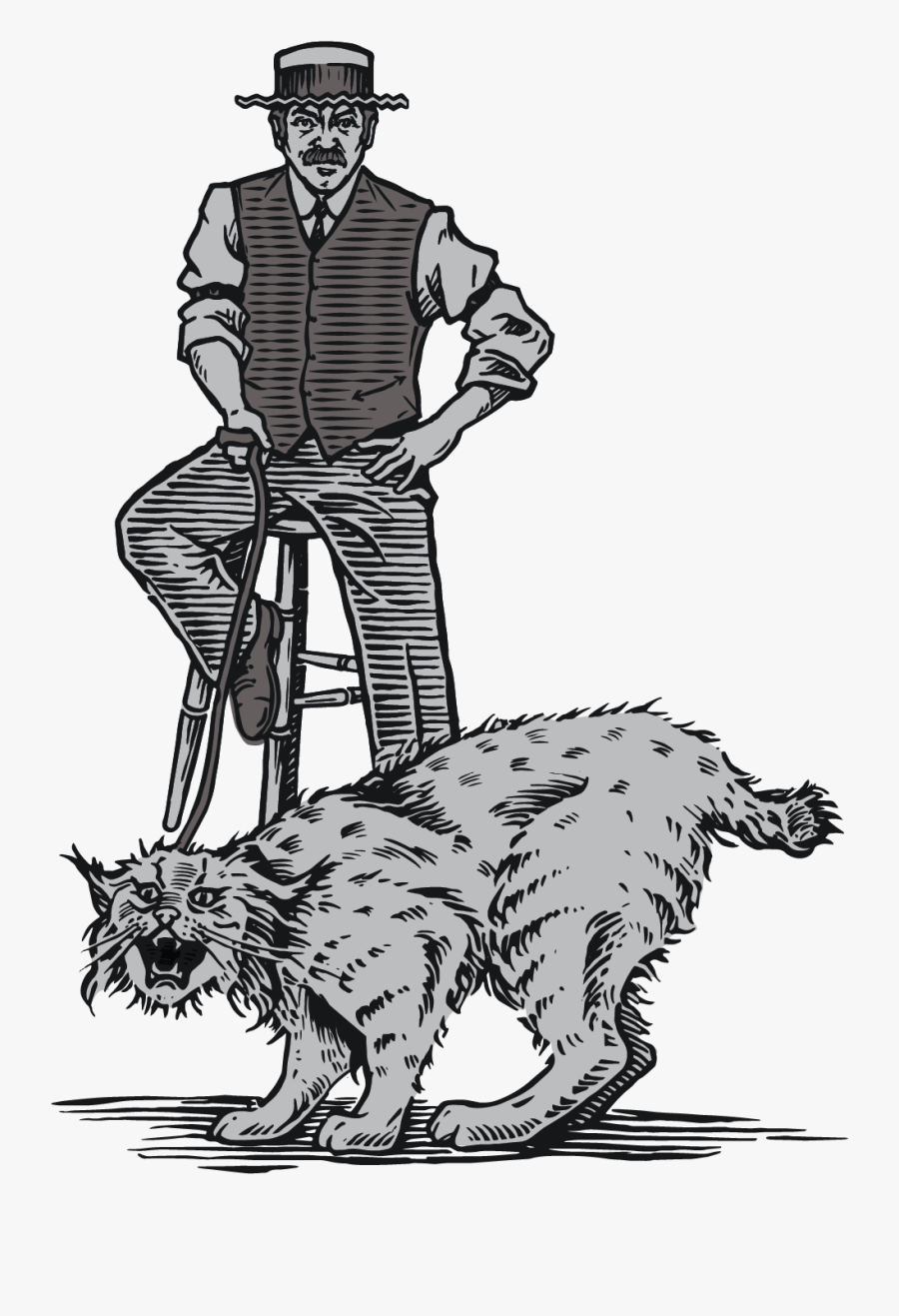 Illustration, Transparent Clipart