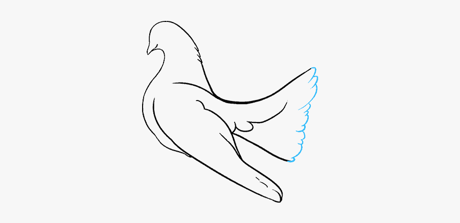 Clip Art Collection Of Free Drawing - Sketch, Transparent Clipart