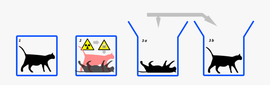 Physics, Schrödinger"s Cat, Schrödinger - Schrodinger Atom, Transparent Clipart