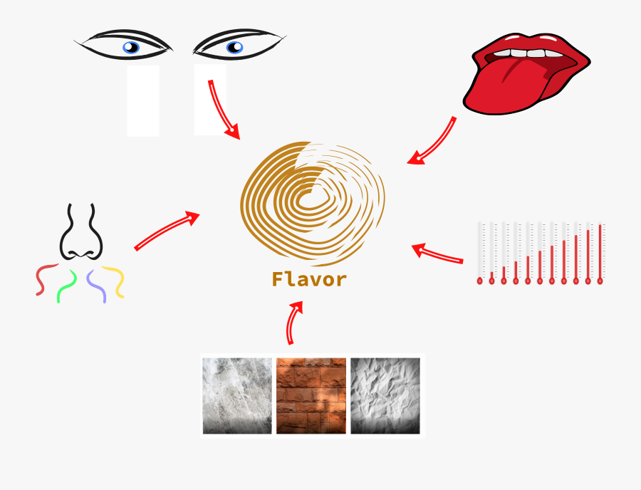 Graphic Design, Transparent Clipart