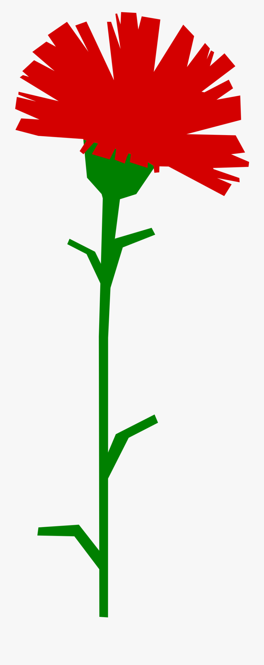 Carnation - 1 May Workers Day, Transparent Clipart