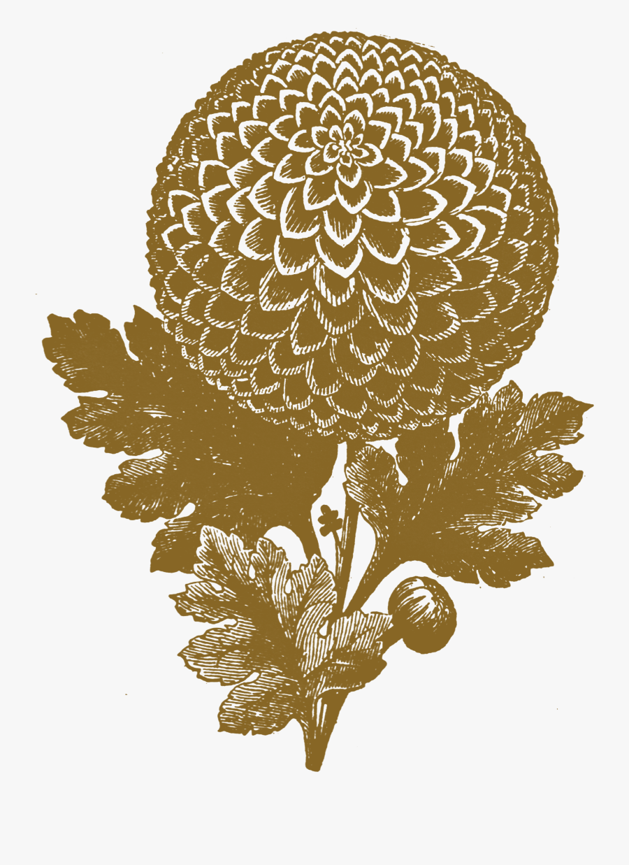 Illustration, Transparent Clipart