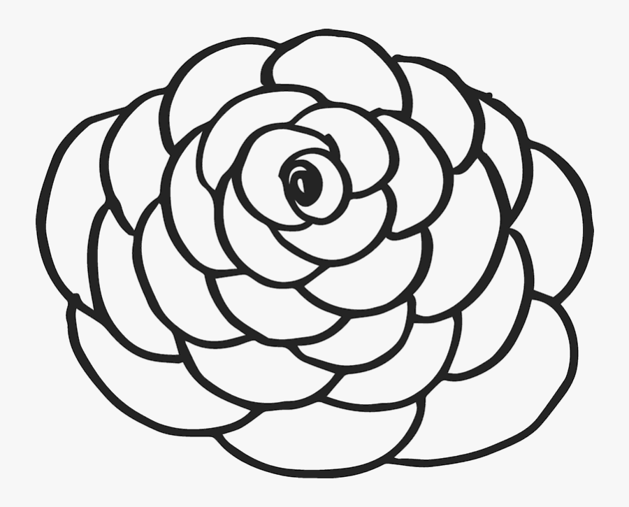 Carnation Flower Clipart Black And White, Transparent Clipart