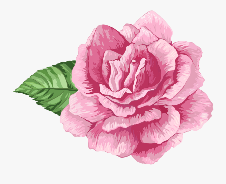 Flores Rosadas En Png, Transparent Clipart