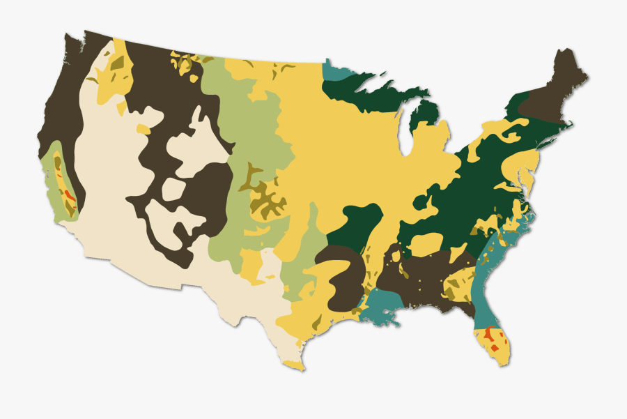 Cropscape Data Layer National Processed And Smoothed - United States Resources Map, Transparent Clipart