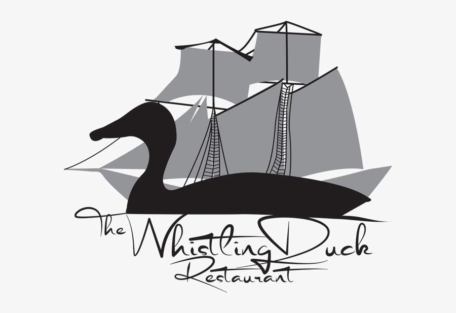 Whistling Duck In Brighton Ontario, Transparent Clipart
