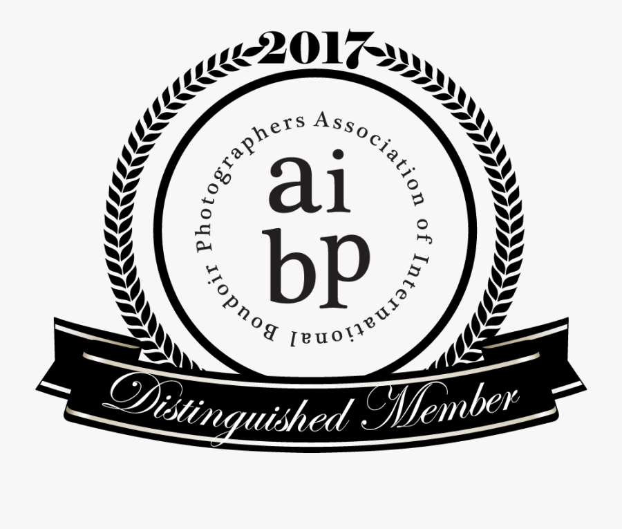 Circle, Transparent Clipart