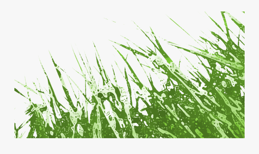 Grass, Transparent Clipart