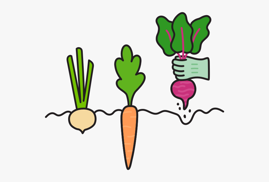Log-in To View Your Order - Baby Carrot, Transparent Clipart