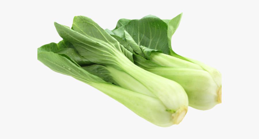 Bok Choy Png, Transparent Clipart