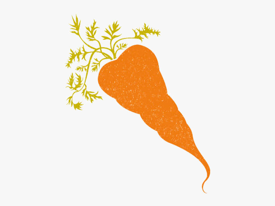 Carrot, Transparent Clipart