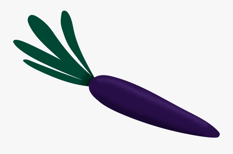 Root Vegetable, Transparent Clipart