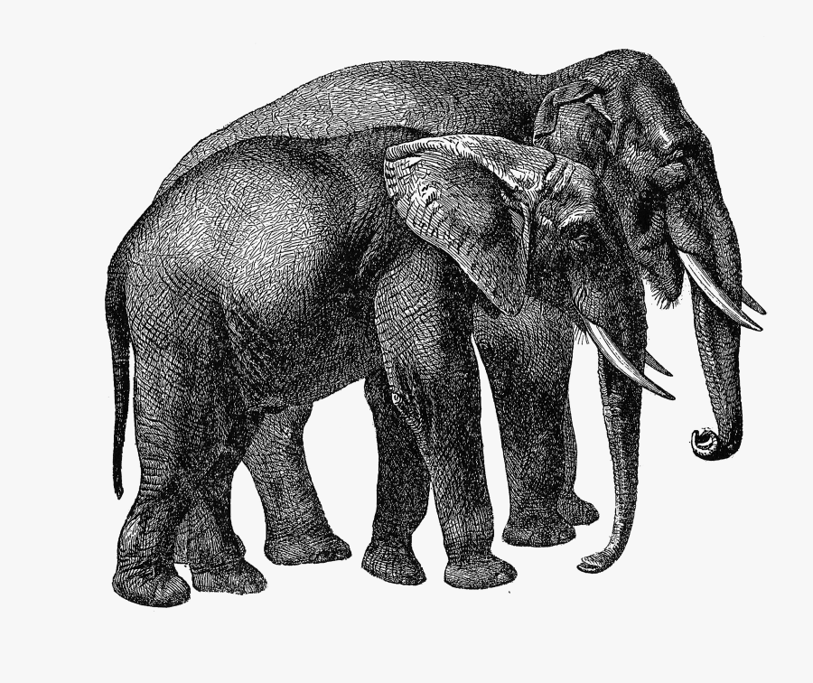 Mark Powell Artist Elephant, Transparent Clipart