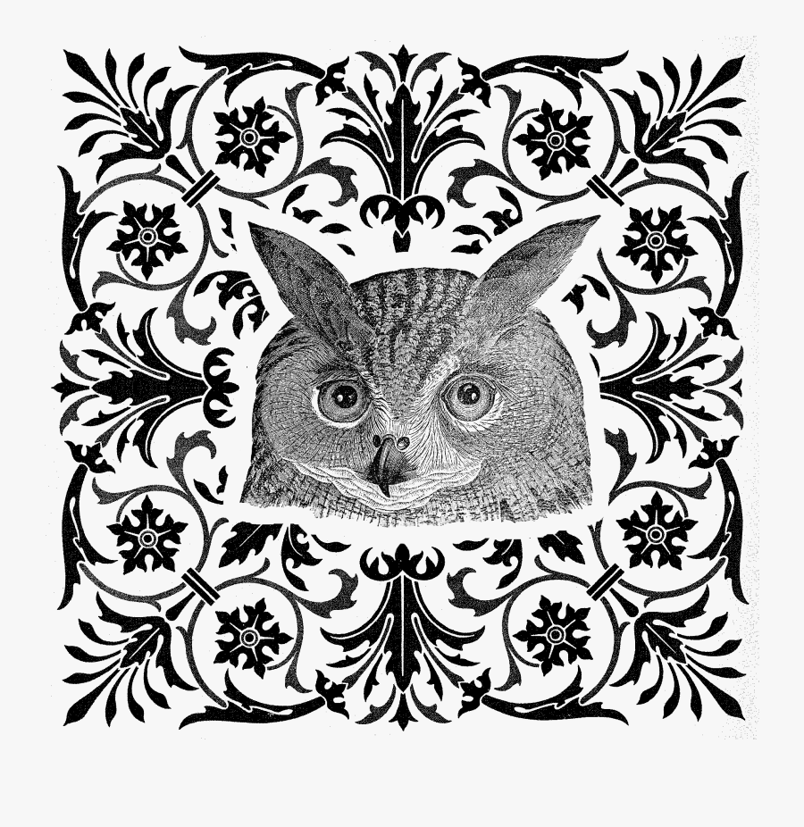 Illustration, Transparent Clipart