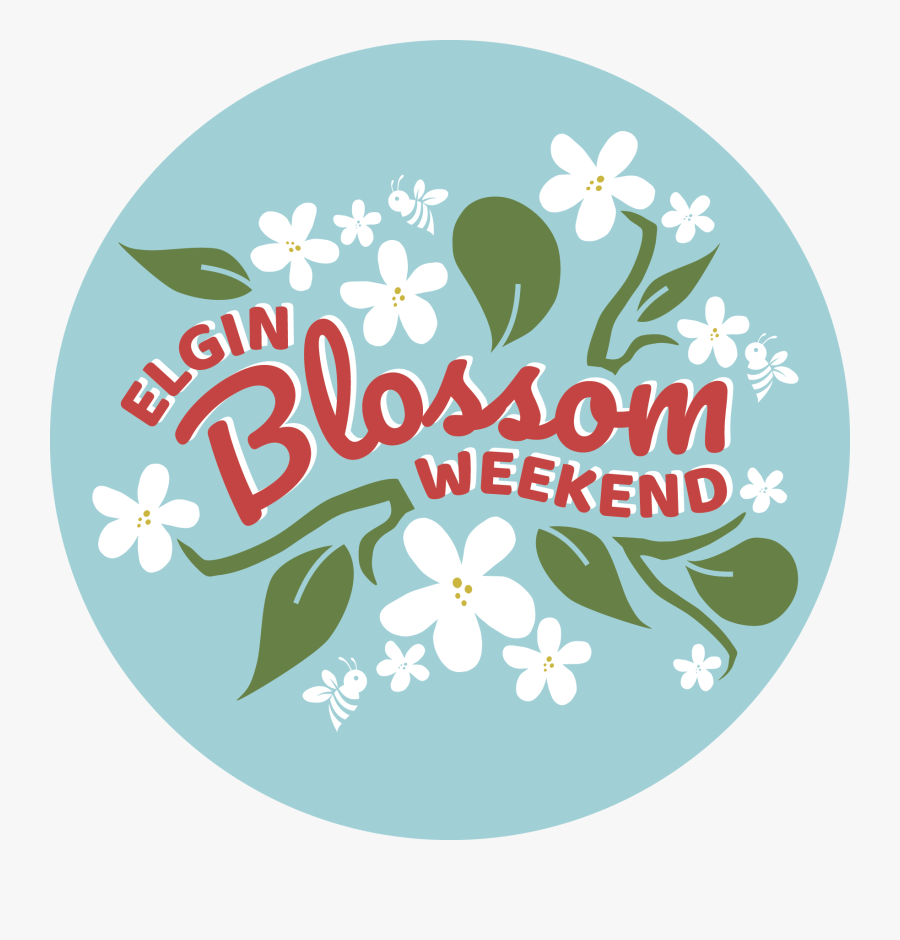 Jasmine, Transparent Clipart