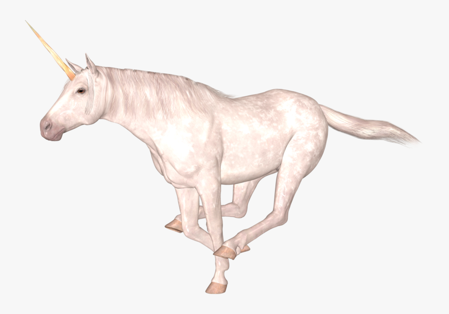 Mane, Transparent Clipart