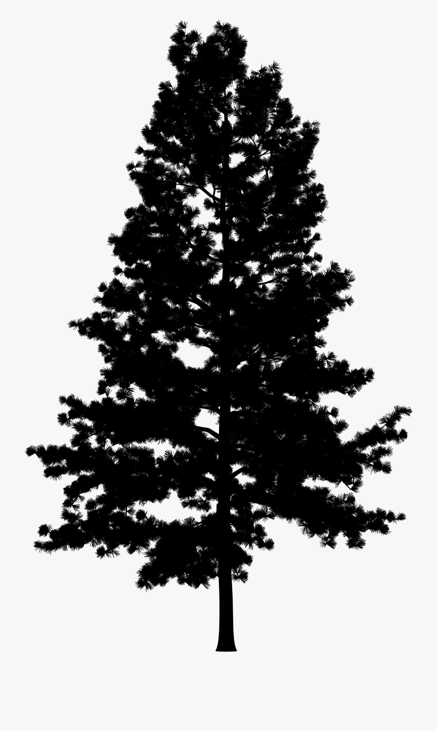 Pine Portable Network Graphics Vector Graphics Tree - Christmas Tree, Transparent Clipart