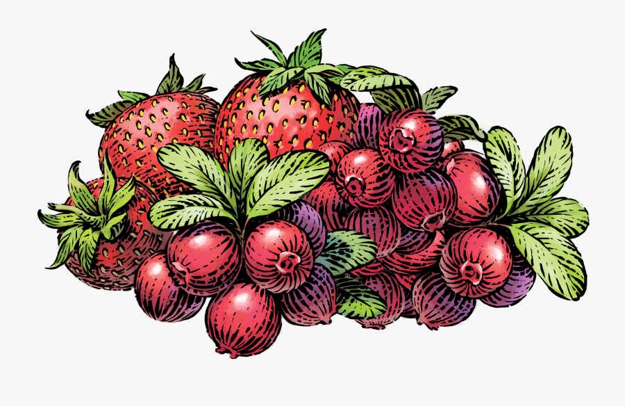 Nutrition Facts - Strawberry Siggis, Transparent Clipart