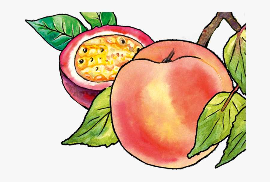 Mcintosh, Transparent Clipart