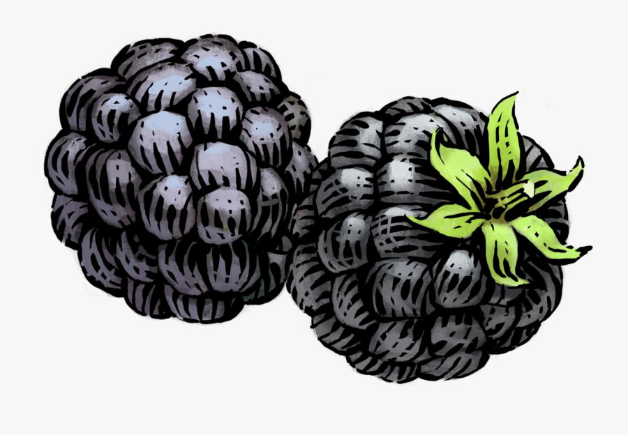 Nutrition Facts - Siggis 2%, Transparent Clipart