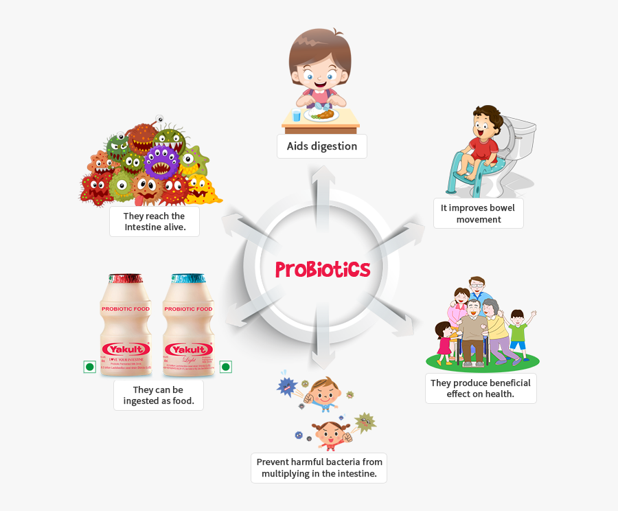 Yogurt - Example Of Probiotics, Transparent Clipart